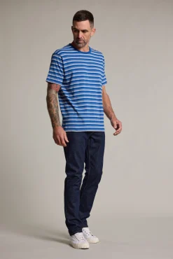 Barkers Graphic & Stripes^Avalon Stripe Tee BLUE