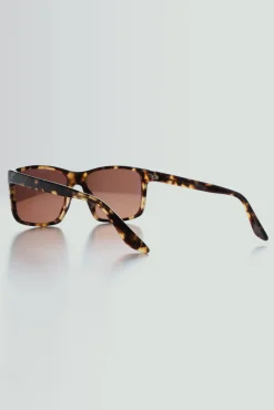 Barkers Sunglasses^Dusky Polarised Sunglasses BROWN