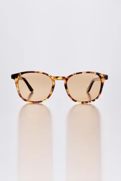 Barkers Sunglasses^Haast Polarised Sunglasses BROWN