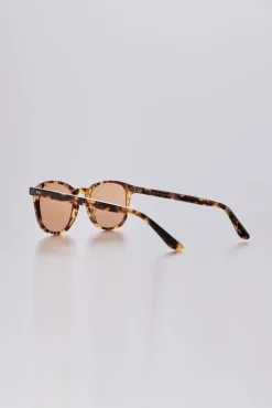 Barkers Sunglasses^Haast Polarised Sunglasses BROWN