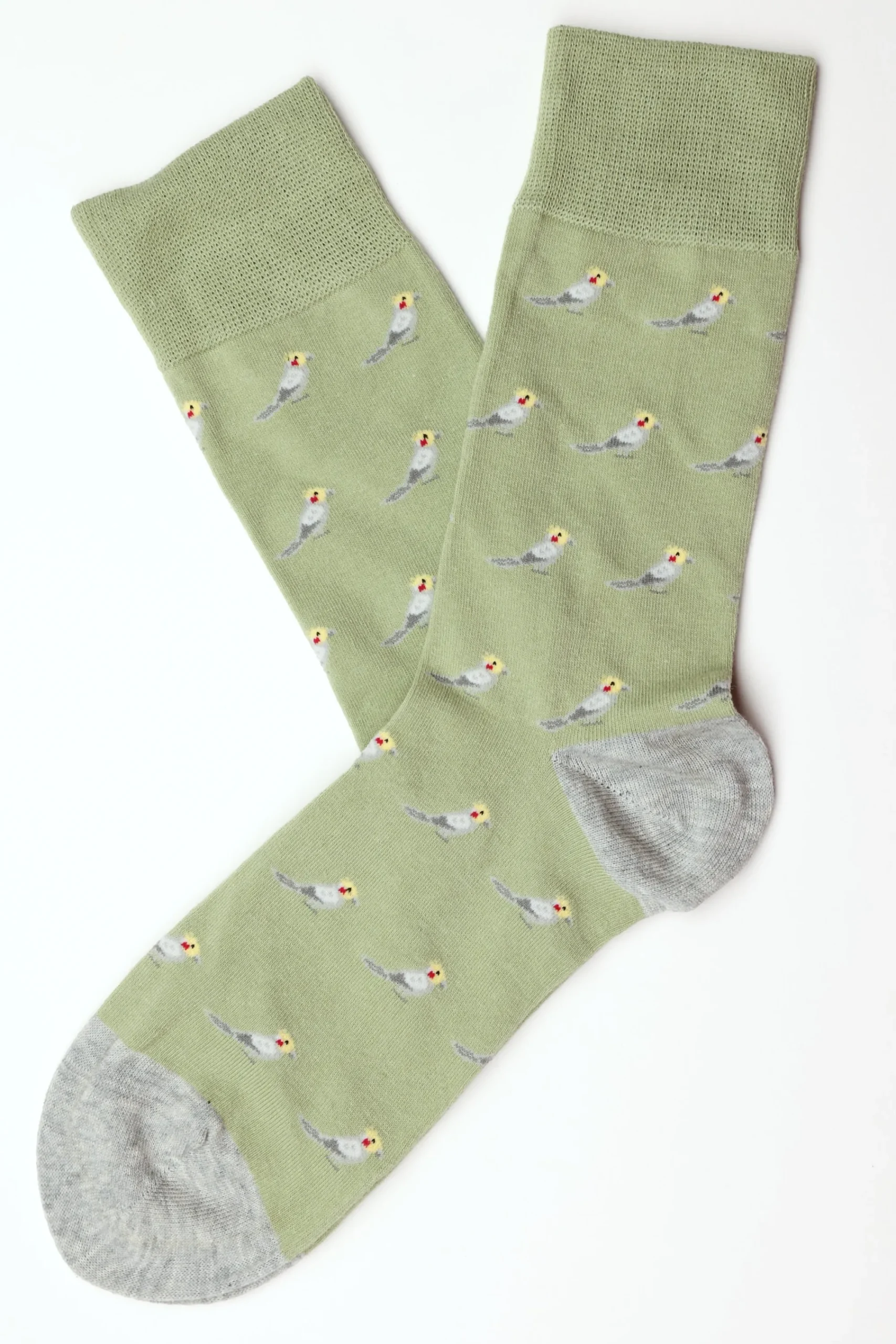 Barkers Socks|Socks^Lodge Parrot Sock