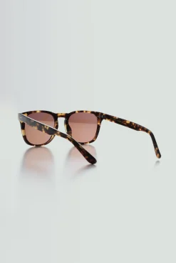 Barkers Sunglasses^Tennyson Polarised Sunglasses BROWN